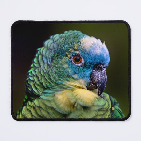 Item preview, parrot up close designed and sold by thompsong03.
