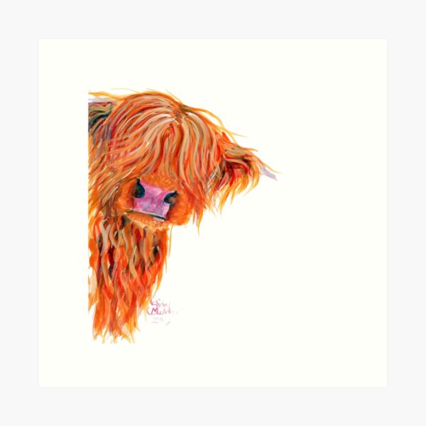 HIGHLAND COW 'PEEKABOO' BY SHIRLEY MACARTHUR Art Print