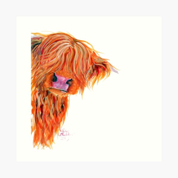 HIGHLAND COW 'PEEKABOO' BY SHIRLEY MACARTHUR Art Print