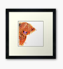 HIGHLAND COW 'PEEKABOO' VON SHIRLEY MACARTHUR Gerahmtes Wandbild
