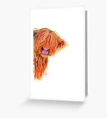 HIGHLAND COW 'PEEKABOO' BY SHIRLEY MACARTHUR Greeting Card