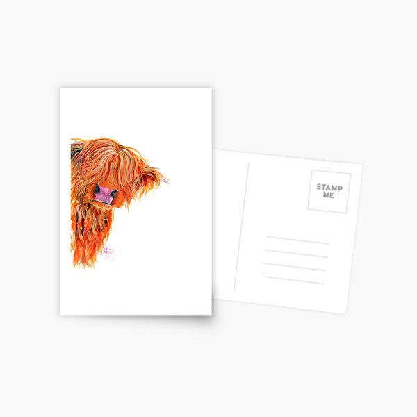 HIGHLAND COW 'PEEKABOO' BY SHIRLEY MACARTHUR Postcard