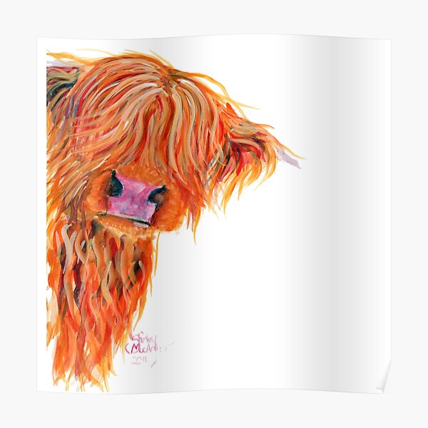 HIGHLAND COW 'PEEKABOO' BY SHIRLEY MACARTHUR Poster