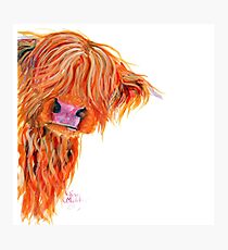 HIGHLAND COW 'PEEKABOO' BY SHIRLEY MACARTHUR Photographic Print