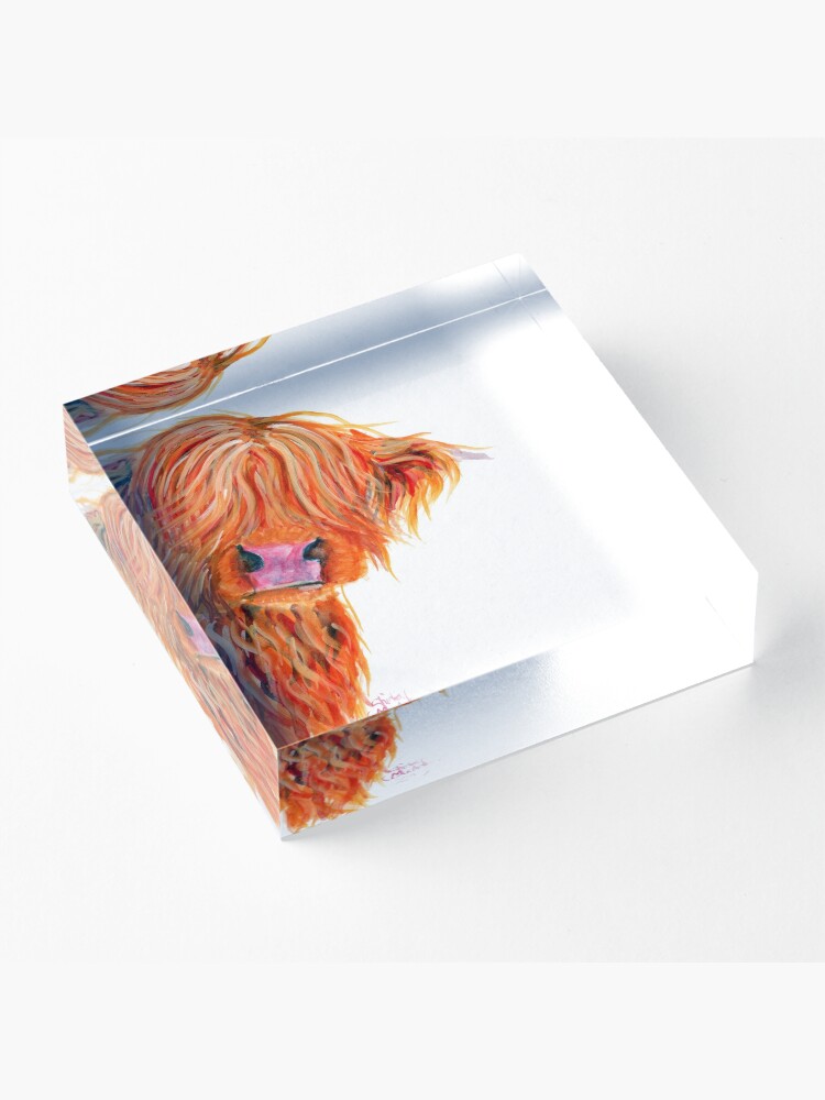 Alternate view of HIGHLAND COW 'PEEKABOO' BY SHIRLEY MACARTHUR Acrylic Block