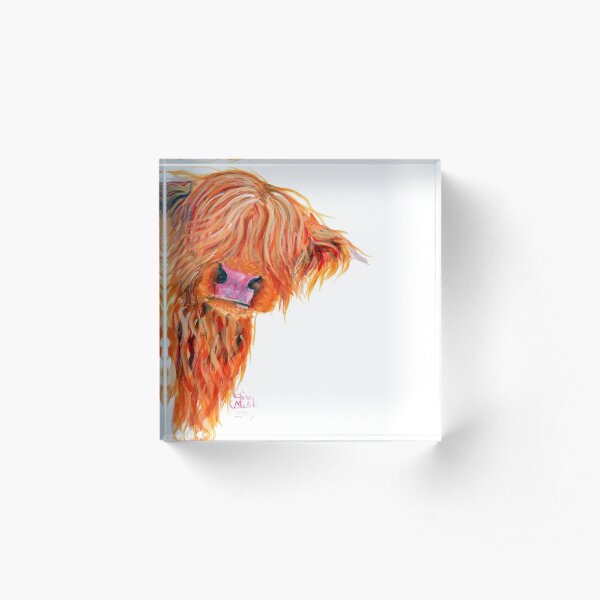 HIGHLAND COW 'PEEKABOO' BY SHIRLEY MACARTHUR Acrylic Block