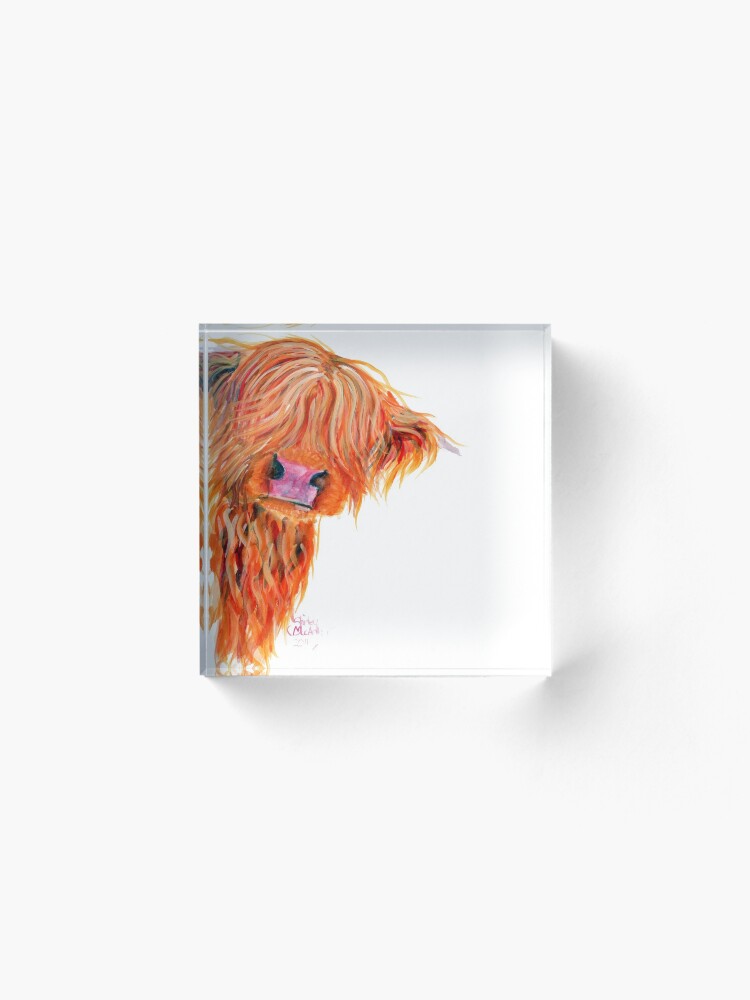 Alternate view of HIGHLAND COW 'PEEKABOO' BY SHIRLEY MACARTHUR Acrylic Block