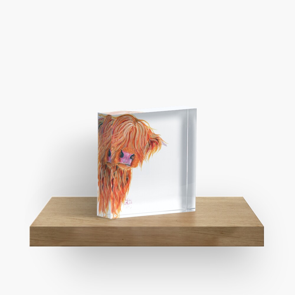 HIGHLAND COW 'PEEKABOO' BY SHIRLEY MACARTHUR Acrylic Block