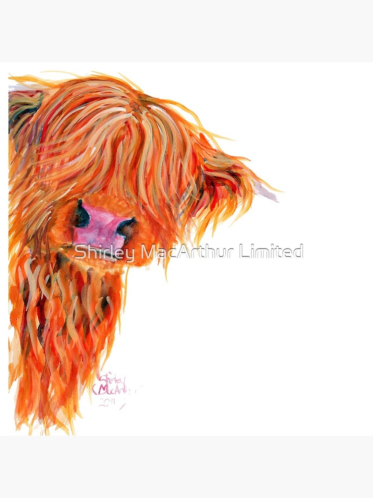 HIGHLAND COW 'PEEKABOO' BY SHIRLEY MACARTHUR by ShirleyMacA