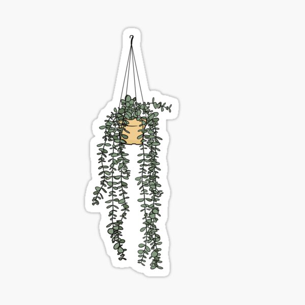 Item preview, Trailing hanging houseplant designed and sold by RecklessSower.