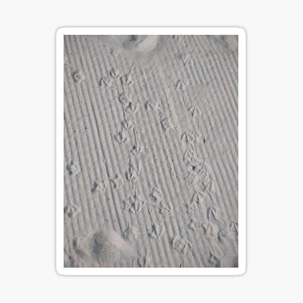 Item preview, Seagull footprints in the sand  designed and sold by Ivy-Bindig.