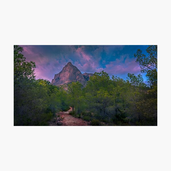 Photographic Print