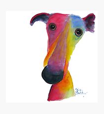 NOSEY DOG 'PUMPKIN' BY SHIRLEY MACARTHUR Photographic Print