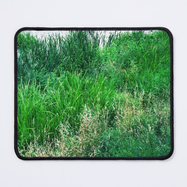 Item preview, Green grass landscape | summer grass nature photography designed and sold by lausn.