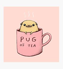 Lámina fotográfica Pug de té