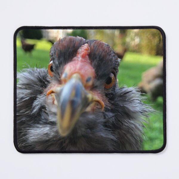 Item preview, HEY! YOU THERE! -- katey bickel, artist designed and sold by mabcr1.