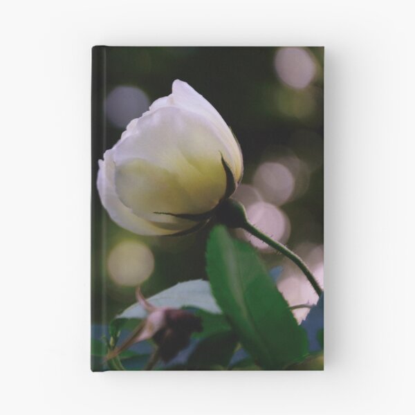 Item preview, Rose designed and sold by Mallorn.