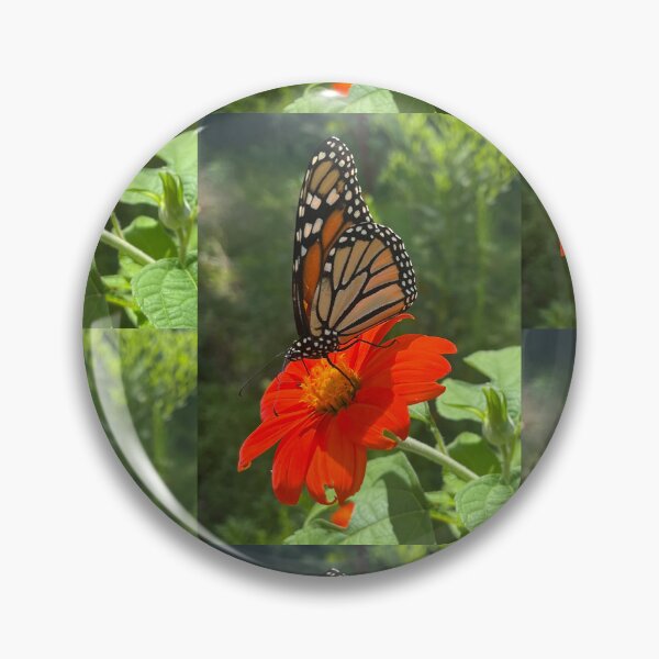 Item preview, Saving Monarch Butterflies with Clean Milkweed and Wildflowers!  designed and sold by TherapeuticNest.
