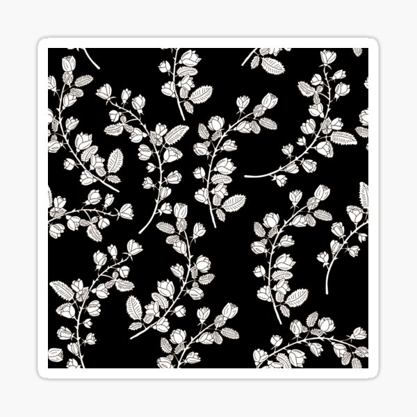 White roses on black background Sticker