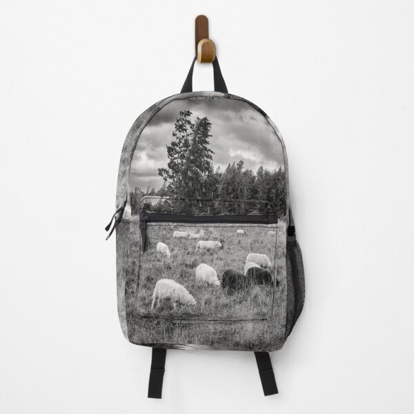 Item preview, Sheeps of the wind bw designed and sold by Jouko Lehto Photography.