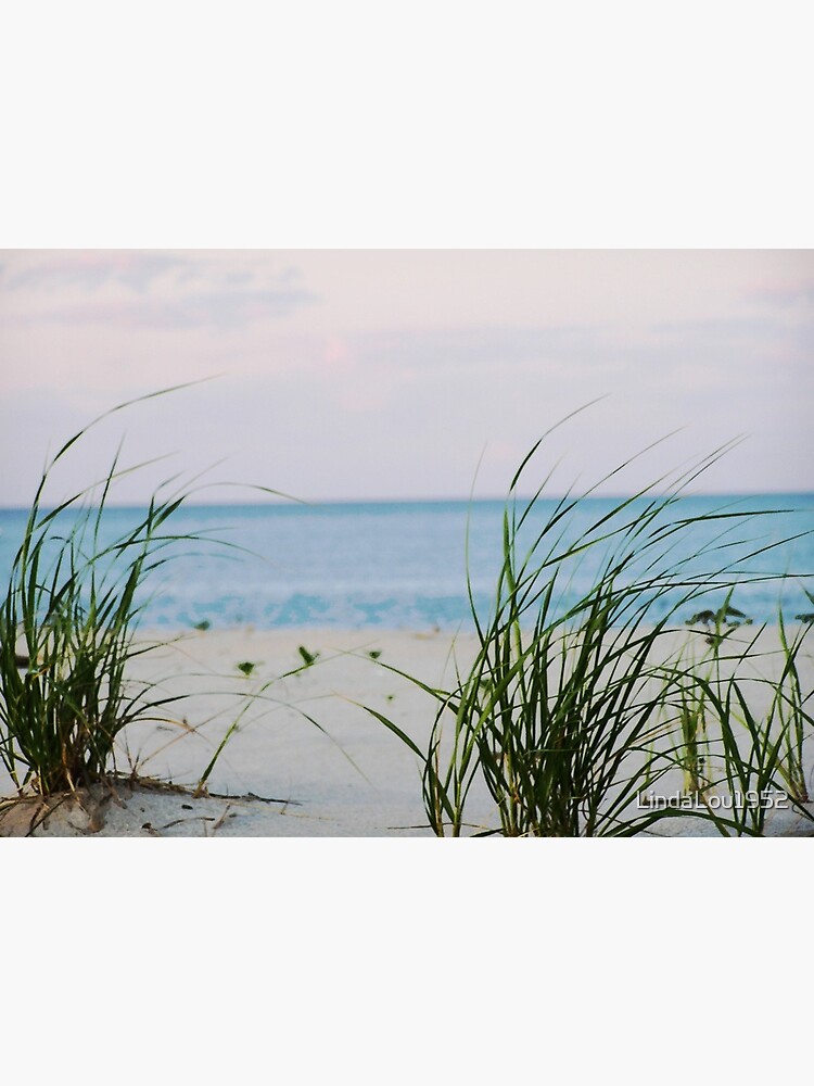WINDSWEPT BEACH SEA OCEAN Art Print Poster Sandy Grasses Bathroom Wall Picture
