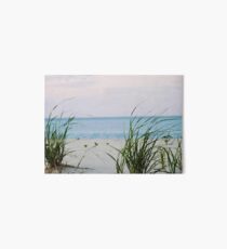 Windswept Art Board Print