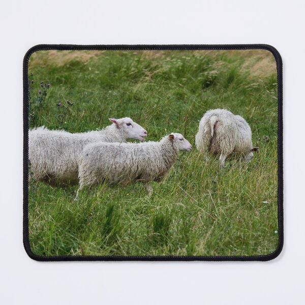 Item preview, Sheeps Finnish style designed and sold by Jouko Lehto Photography.