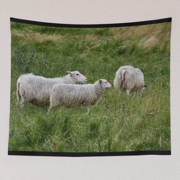 Item preview, Sheeps Finnish style designed and sold by Jouko Lehto Photography.