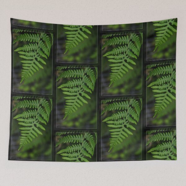 Item preview, Green fern leaves. Floral photography. designed and sold by naturematters.