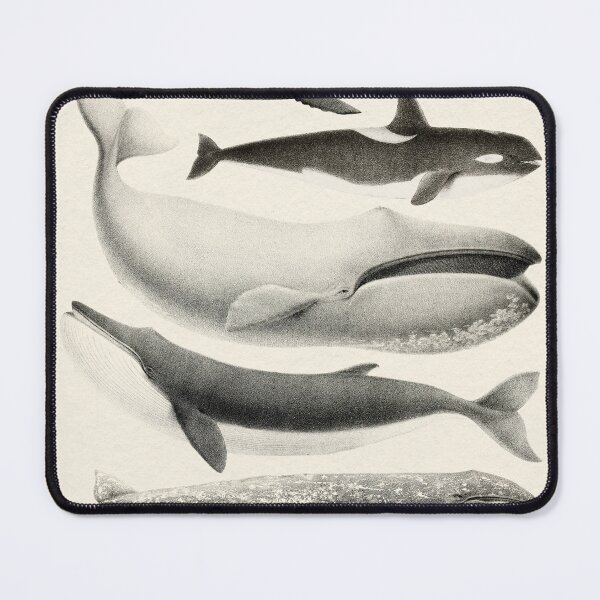 Item preview, Whales Collection designed and sold by galdesign.
