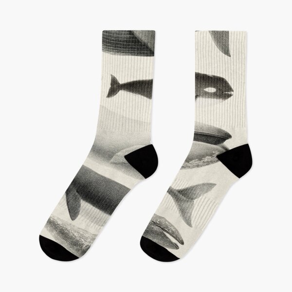 Item preview, Whales Collection designed and sold by galdesign.