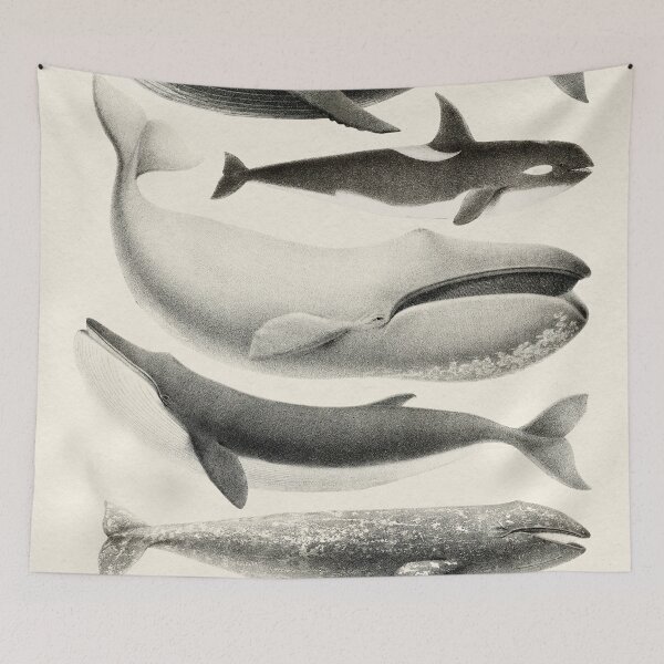 Item preview, Whales Collection designed and sold by galdesign.