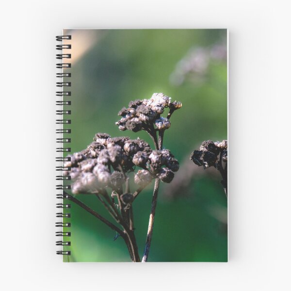 Item preview, Wild flowers end of life cycle. designed and sold by CanadianWild418.