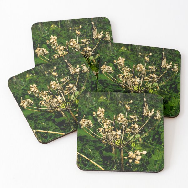 Item preview, Wild plant designed and sold by CanadianWild418.