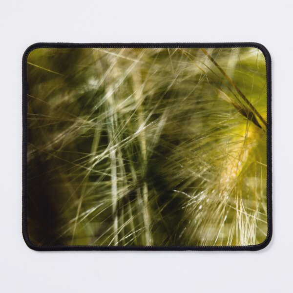 Item preview, Foxtail in macro designed and sold by CanadianWild418.