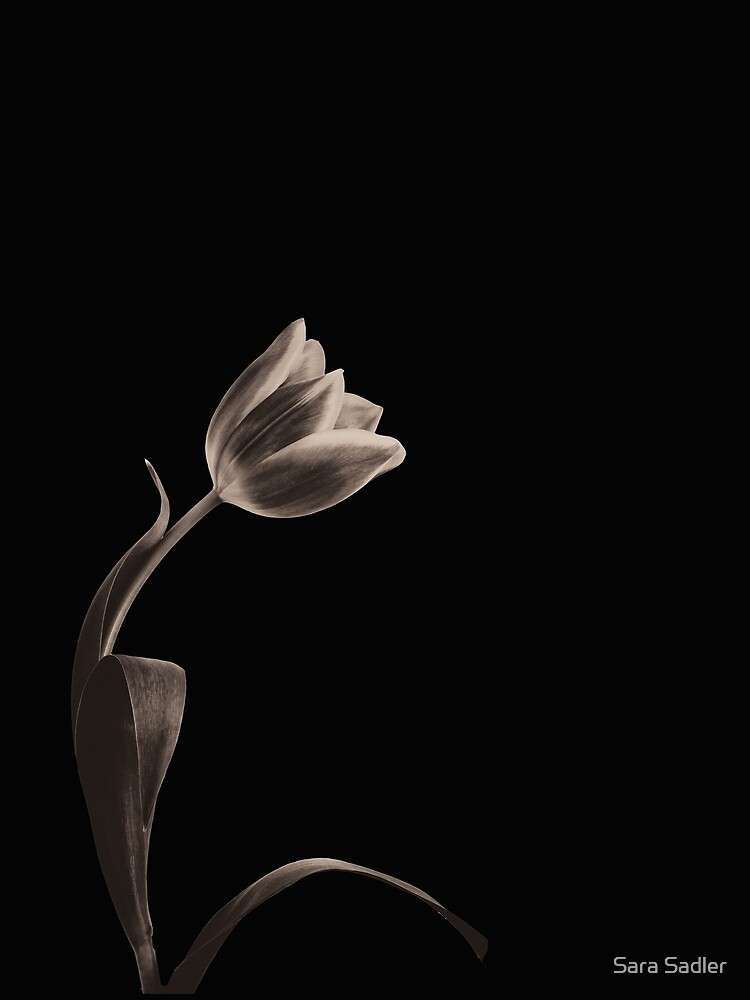 Antique Tulip by sadler2121