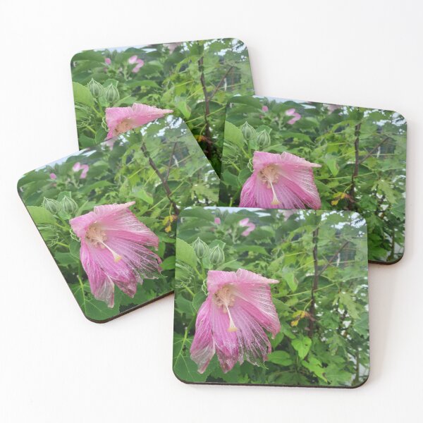 Item preview, Wilting Pink Hibiscus Flower in Rain designed and sold by jaileib.