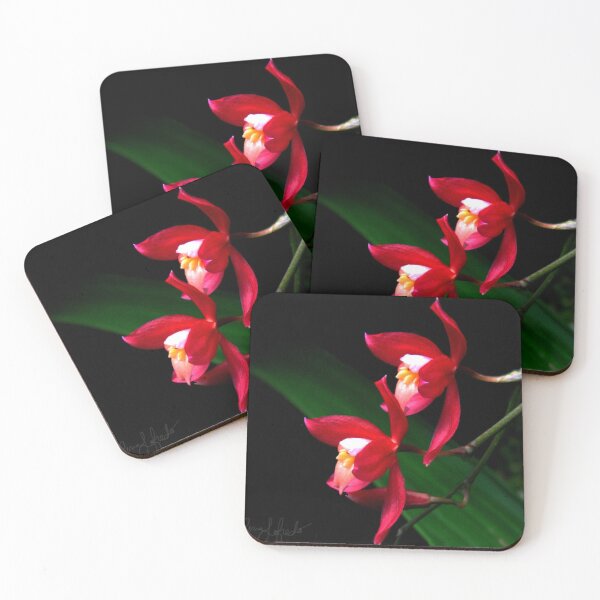 Item preview, orchid designed and sold by Nazgulera.