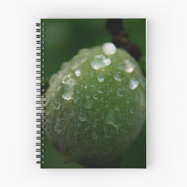 Item preview, Drops of the Peach designed and sold by Jacob Schouten.