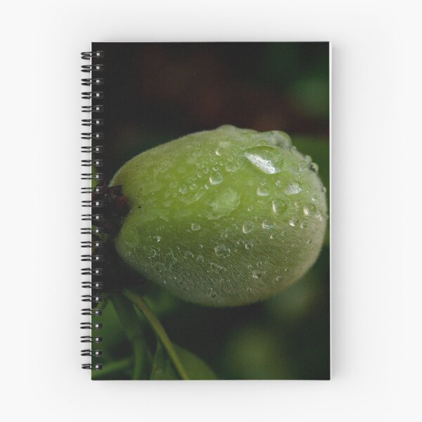 Item preview, Drops of the Peach / Ver 2 designed and sold by Jacob Schouten.