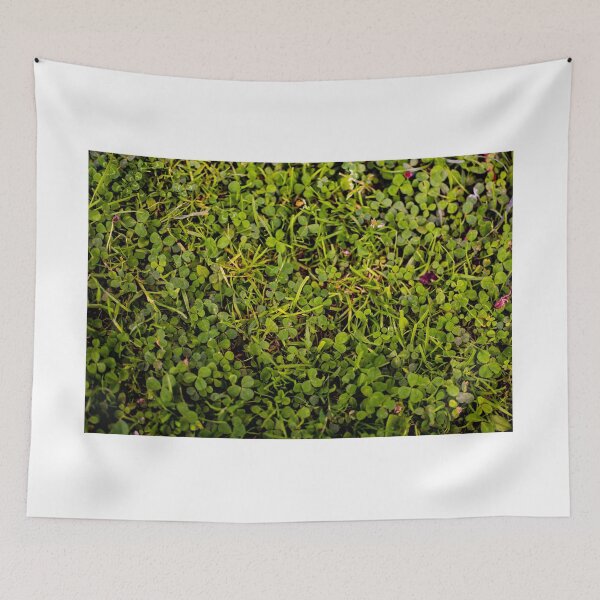 Item preview, Any luck?  designed and sold by Arc1.
