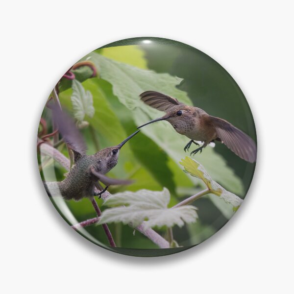 Item preview, Hummingbirds Being Agressive designed and sold by CarolM.