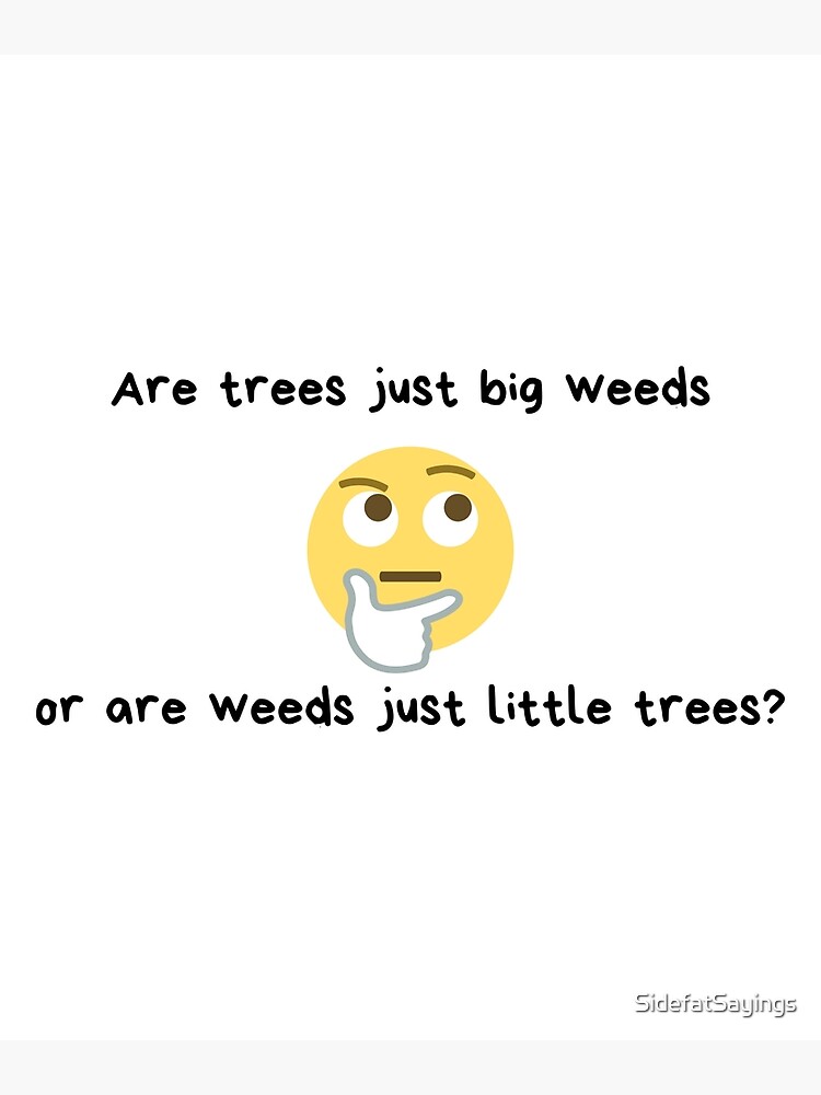 "Are trees just big weeds or are weeds just little trees? (light