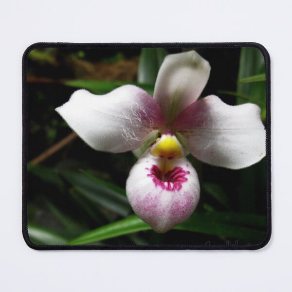 Item preview, orchid slipper designed and sold by Nazgulera.
