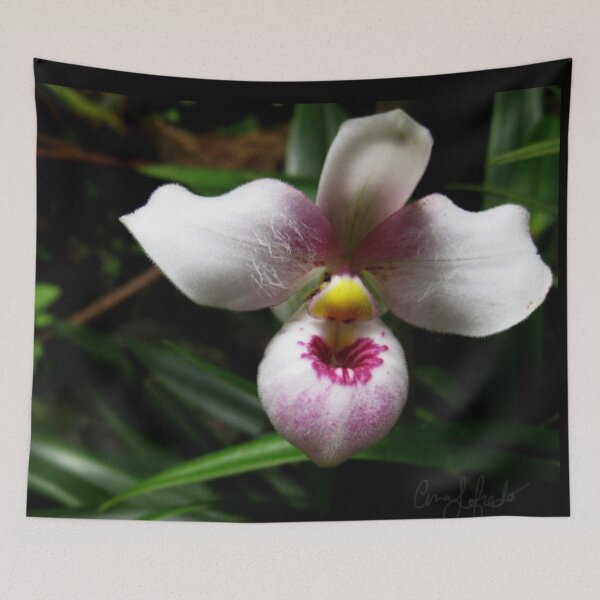 Item preview, orchid slipper designed and sold by Nazgulera.