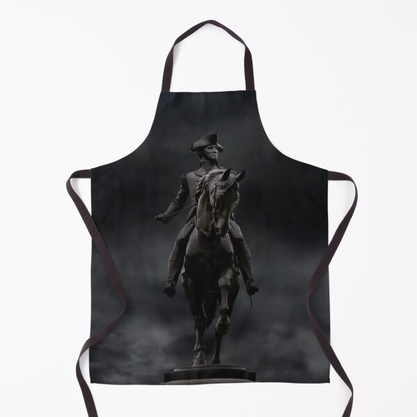 Item preview, George Washington's statue in the Boston Public Garden designed and sold by Alex Preiss.