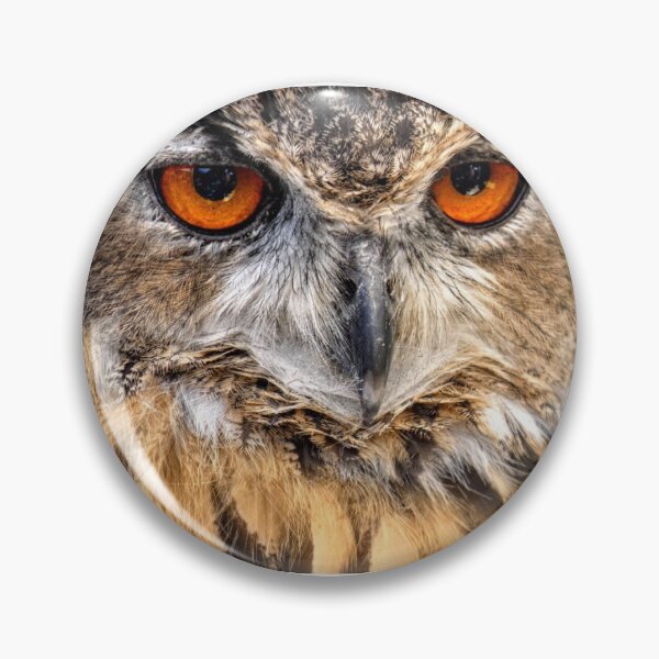 Item preview, Owl Glare designed and sold by wumplekin.