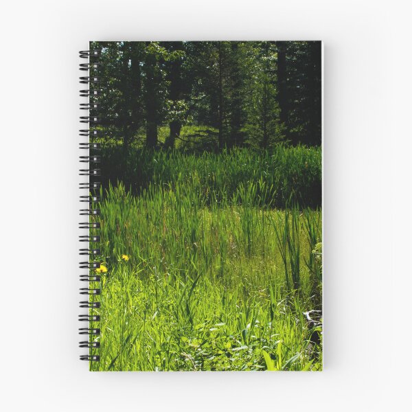 Item preview, Urban trail scenery designed and sold by CanadianWild418.