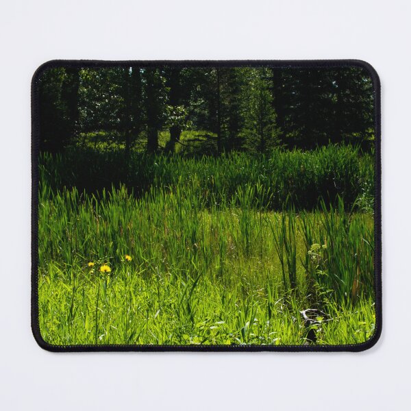 Item preview, Urban trail scenery designed and sold by CanadianWild418.