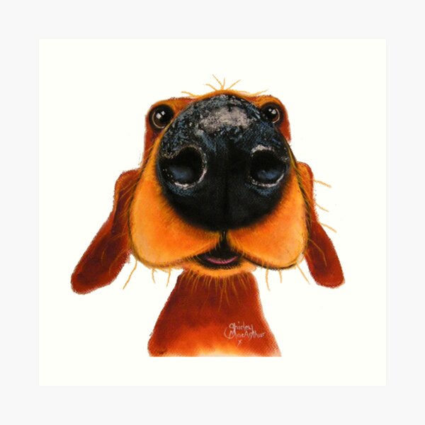NOSEY DOG 'NOSEY NANDO' BY SHIRLEY MACARTHUR Art Print